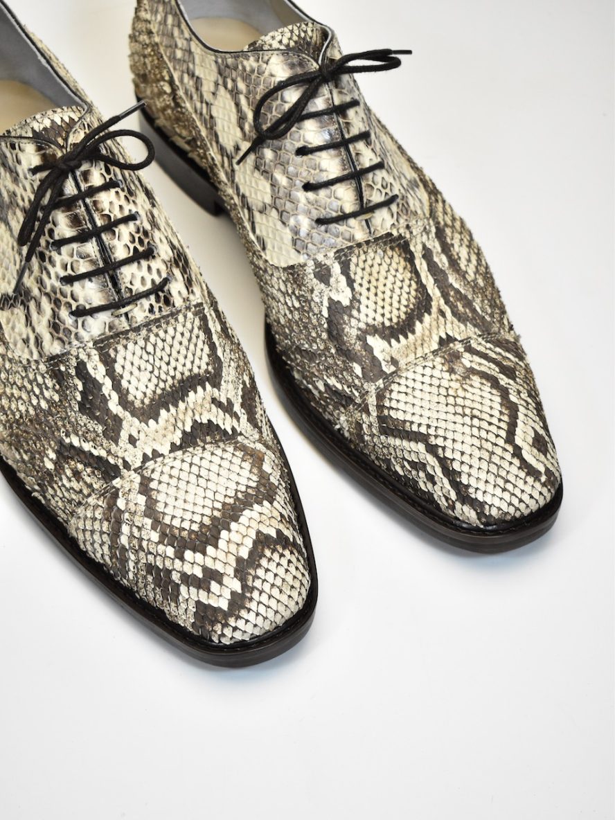 The Duke – Python Limited